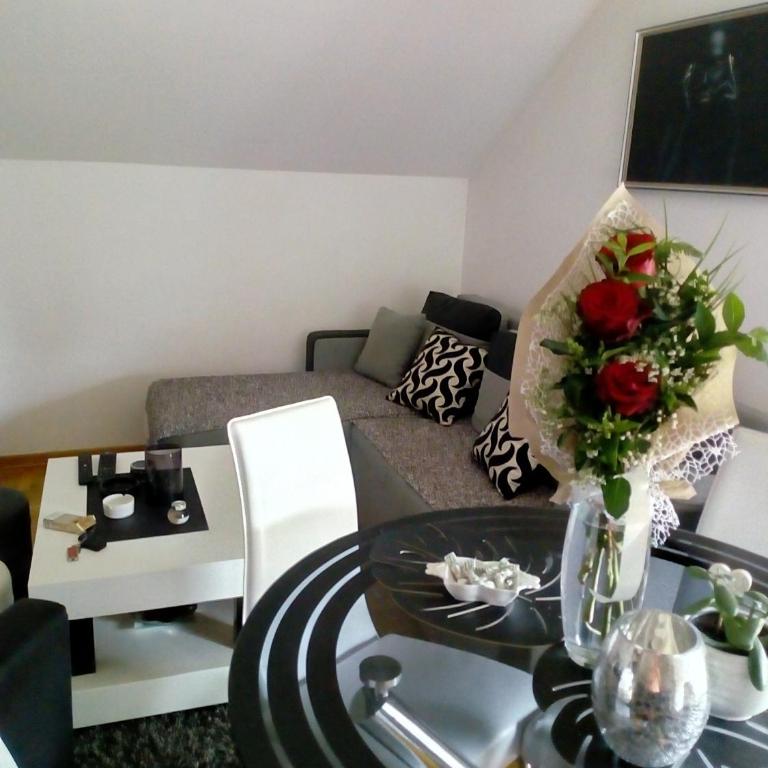 Jasna Apartman - One-Bedroom Apartment - 10