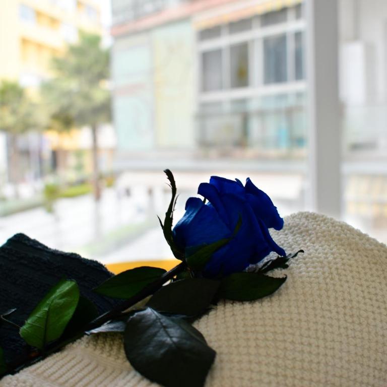 PARIS FASHION - Torremolinos - Apartamento con terraza - 24