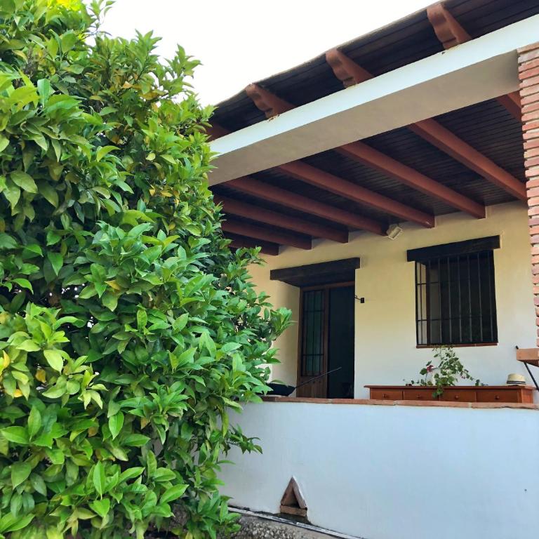 Villa Bonita - Casa de 3 dormitorios - 28