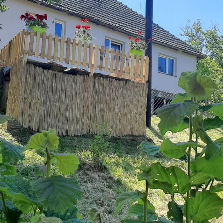 Stari dud Beserovina - Kuća sa 2 Spavaće Sobe - 10