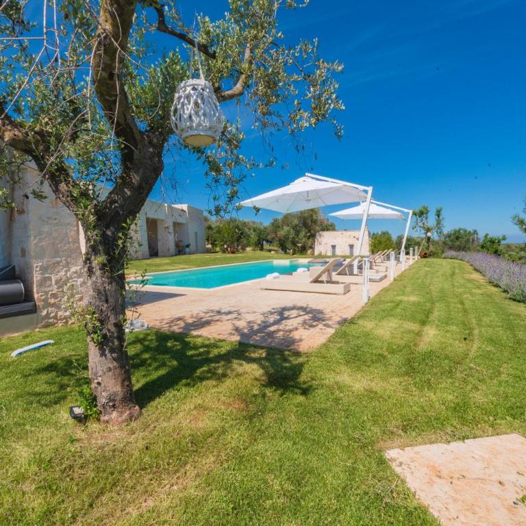 Tenuta Lamia degli Ulivi - Ostuni Puglia - Ancient Lamia and Modern Villa - Villa - 34