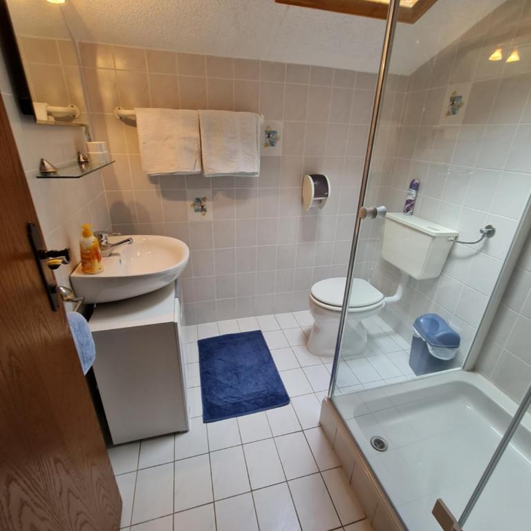 Camping Gasthof Zirknitzer - Doppelzimmer mit Bergblick - 1