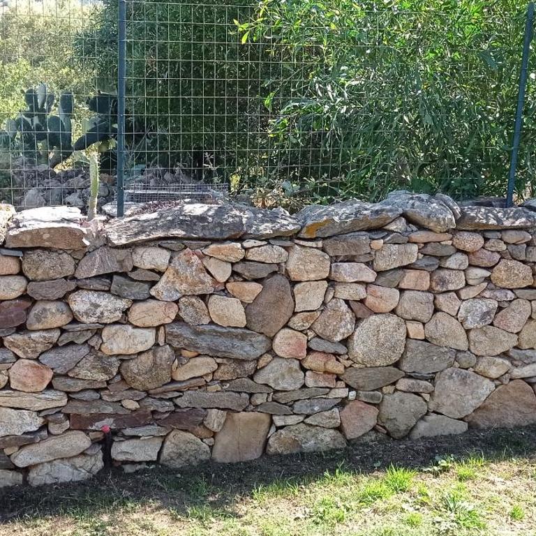 Villetta Bouganville - Casa Vacanze - 11