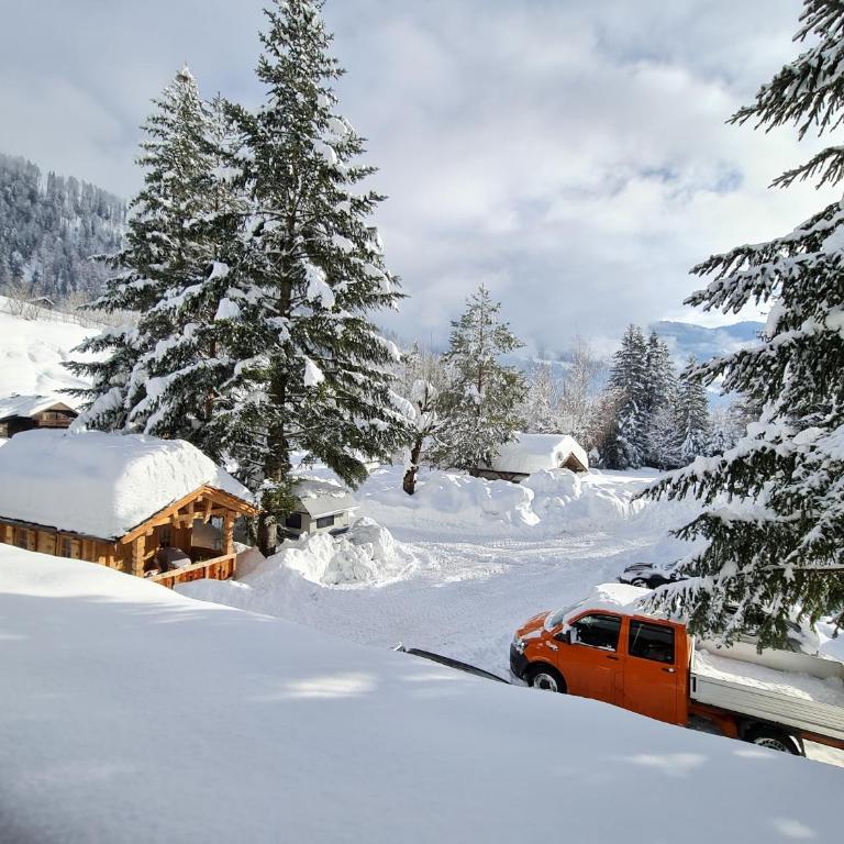 Camping Gasthof Zirknitzer - Doppelzimmer mit Balkon - 1