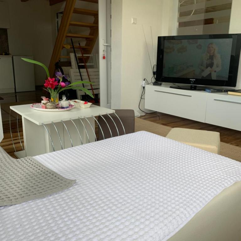 Nisa & De Apartmani - One-Bedroom Apartment - 78