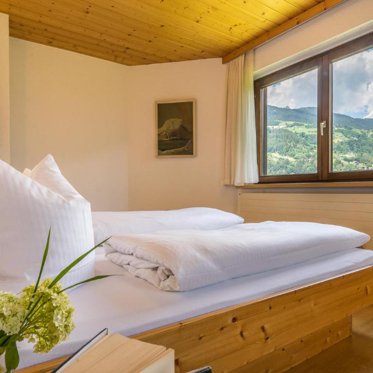 AlpenApart Montafon - Haus Engstler - Apartment mit Balkon - 1