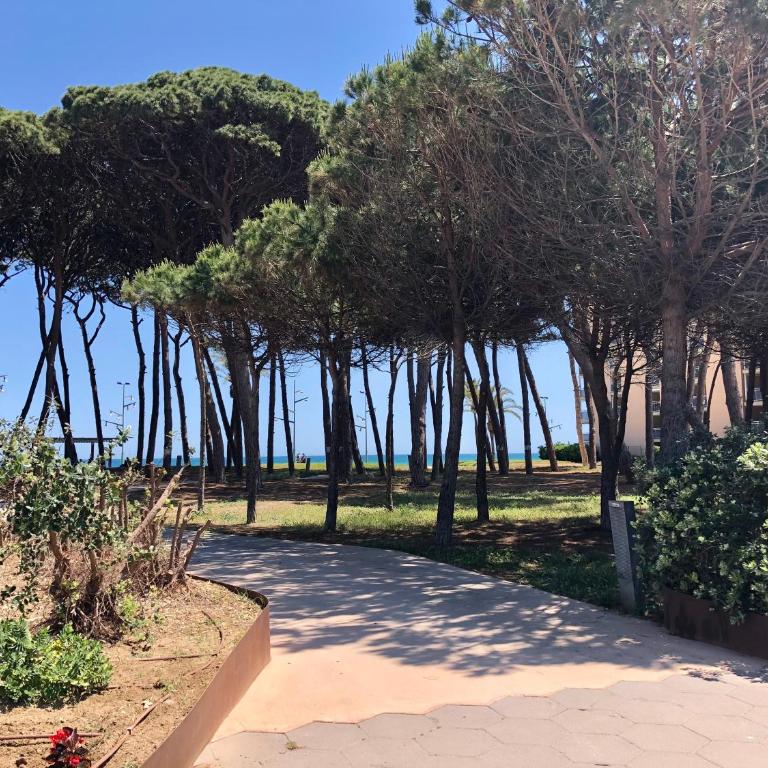 PINEDA BEACH 1a línea de mar & parking - Apartment with Sea View - 46