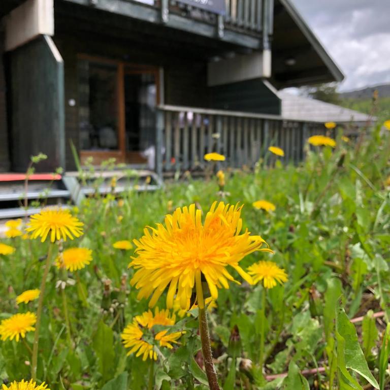 Le Chalet d'Aurouze 103, Appartement 6 personnes - la Joue du Loup - Appartement 2 Chambres - 13