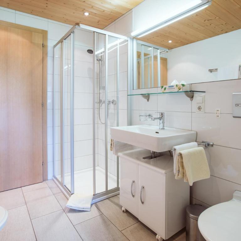 AlpenApart Montafon - Haus Engstler - Apartment mit Terrasse - 1