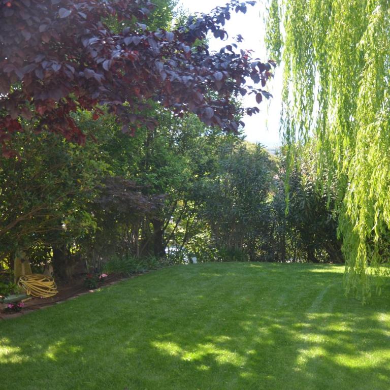 Asso Bed & Breakfast - Camera Matrimoniale con Bagno Privato - 29