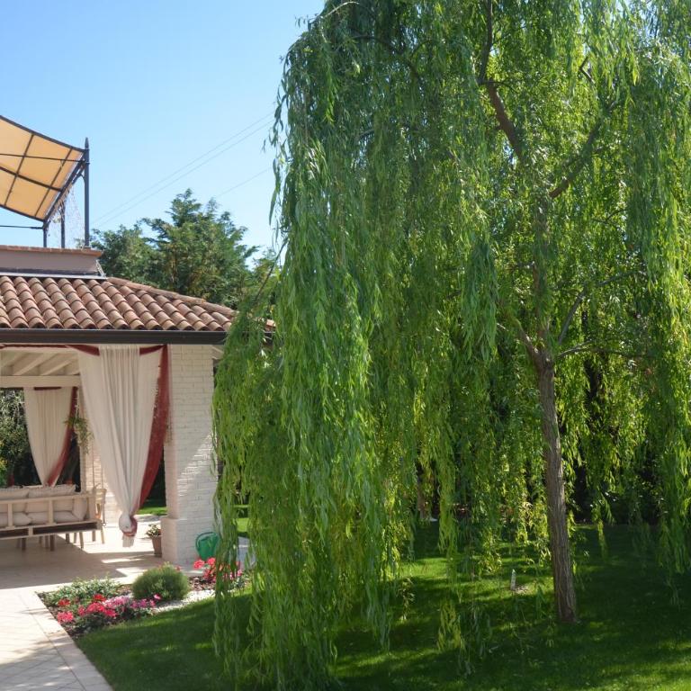 Asso Bed & Breakfast - Camera Matrimoniale con Patio - 9