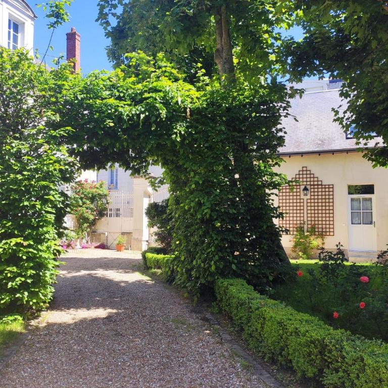 Les Charmilles - Appartement 2 Chambres - 2