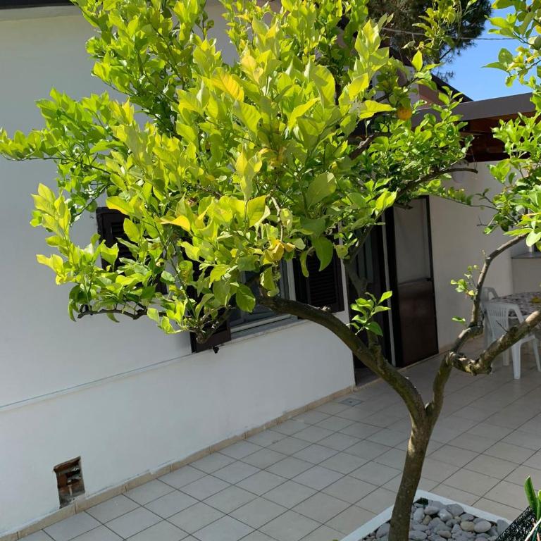Quirino Residence - Appartamento - 15