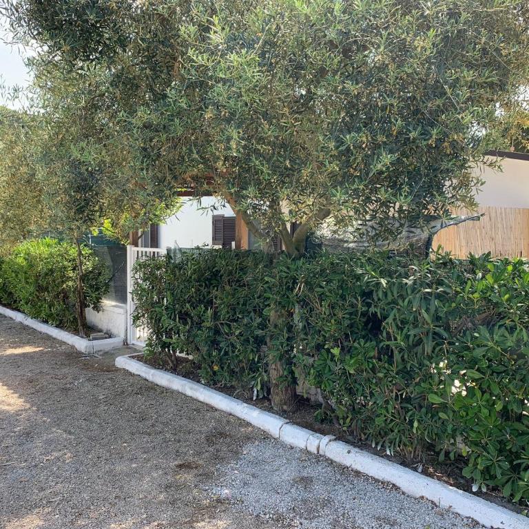 Quirino Residence - Appartamento - 11
