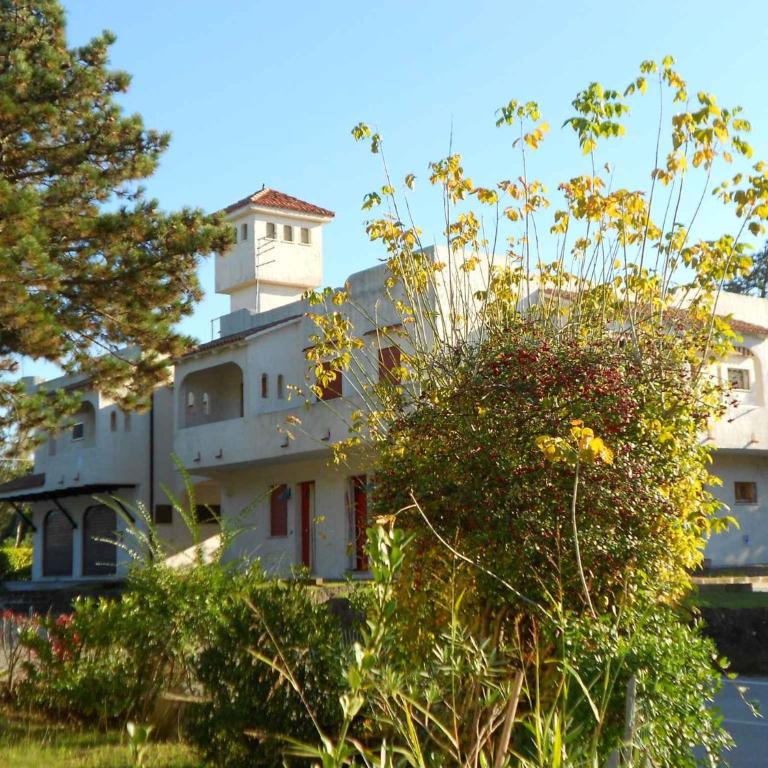 Apartment in Rosolina Mare 24935 - Appartamento - 10