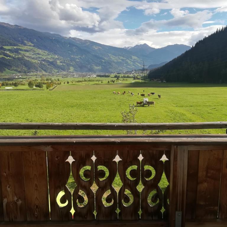 Böglerhof - Apartamento de 2 dormitorios - 1