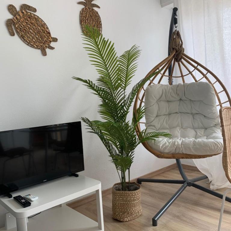 PERLA DEL SOL - Apartamento de 1 dormitorio - 12
