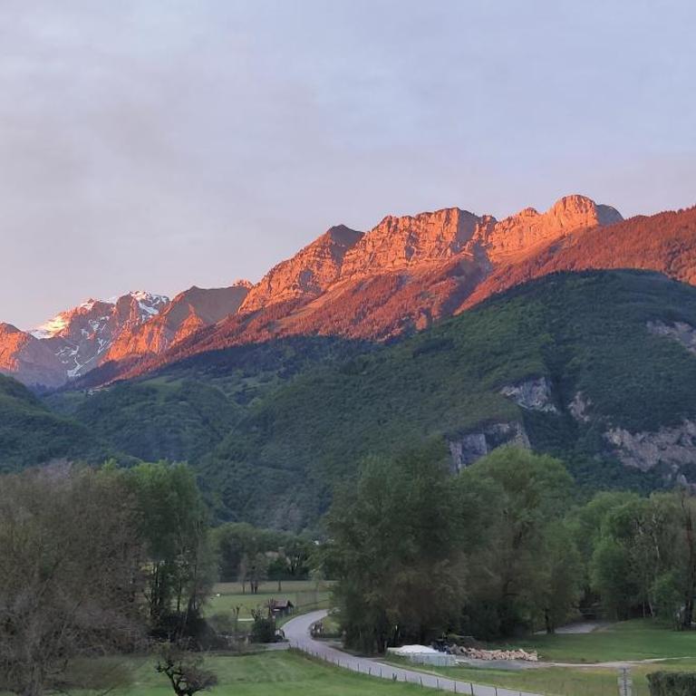 C le birdie - Appartement 1 Chambre - 24