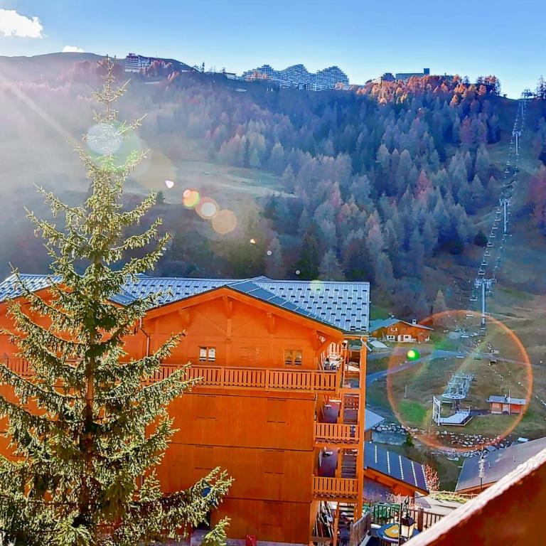 Apartment Near The Slopes La Plagne - Studio - 27