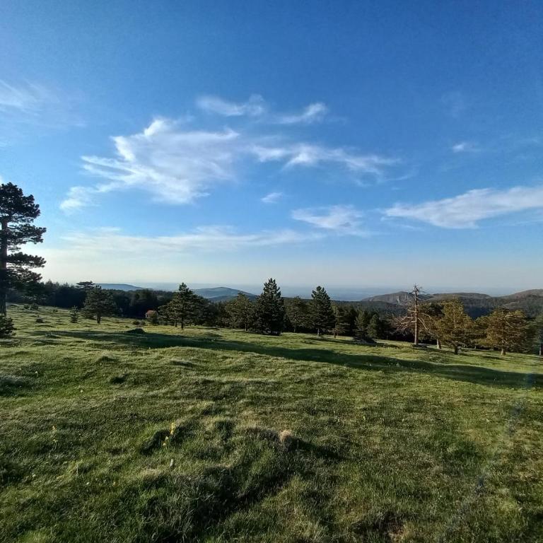 Apartman Kaćun - Divčibare - Apartman sa 1 Spavaćom Sobom - 5