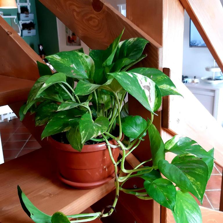 Casa ro cori, 10 minuti a piedi dalla Cattedrale - Casa con 1 Camera da Letto - 18
