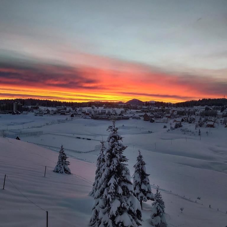 Petrovača - Two-Bedroom Apartment - 27