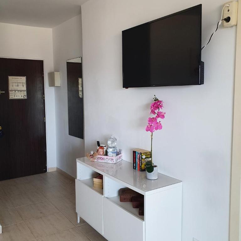 Apartamento El Albero Integrado en el Hotel PYR céntrico y en primera línea de playa - Estudio - 9