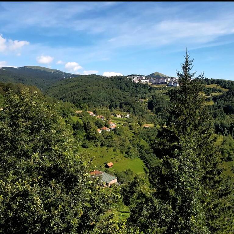 Apartment Sirius Kopaonik - One-Bedroom Apartment - 14