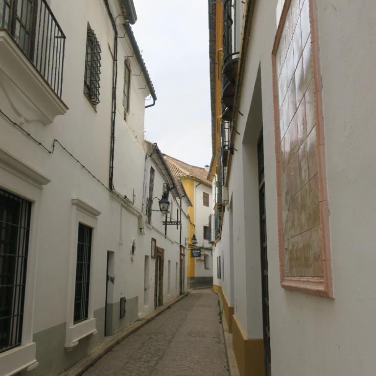 Calle de la Convalecencia - Apartamento de 1 dormitorio - 14