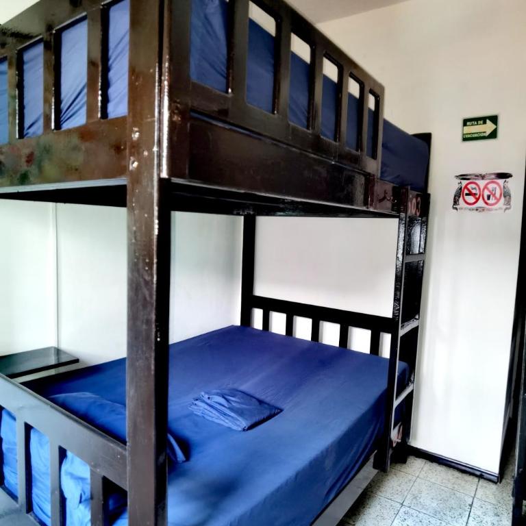 The Roof Backpackers - Single Bed in Female Dormitory Room - 4