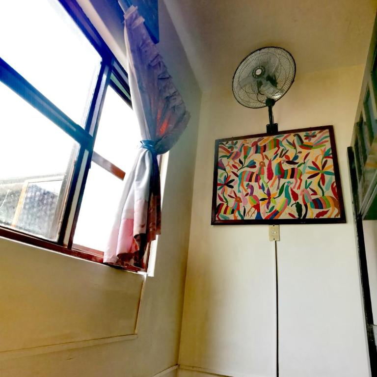 The Roof Backpackers - Single Bed in Female Dormitory Room - 5