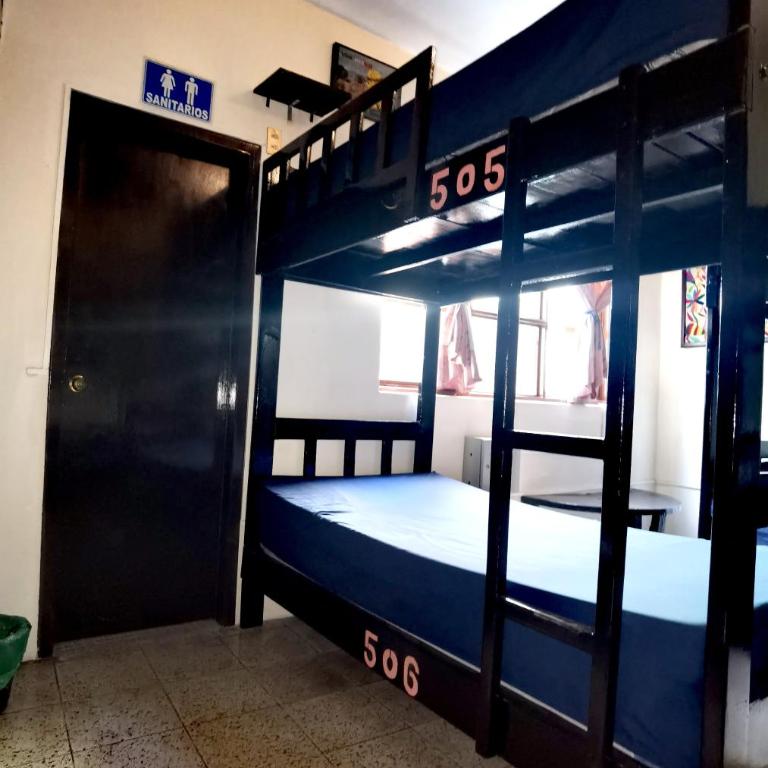 The Roof Backpackers - Single Bed in Female Dormitory Room - 2