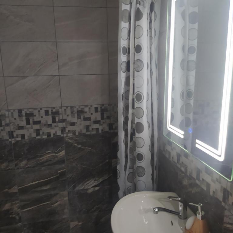 Apartmani Marić in Vrnjacka Banja - One-Bedroom Apartment - 10