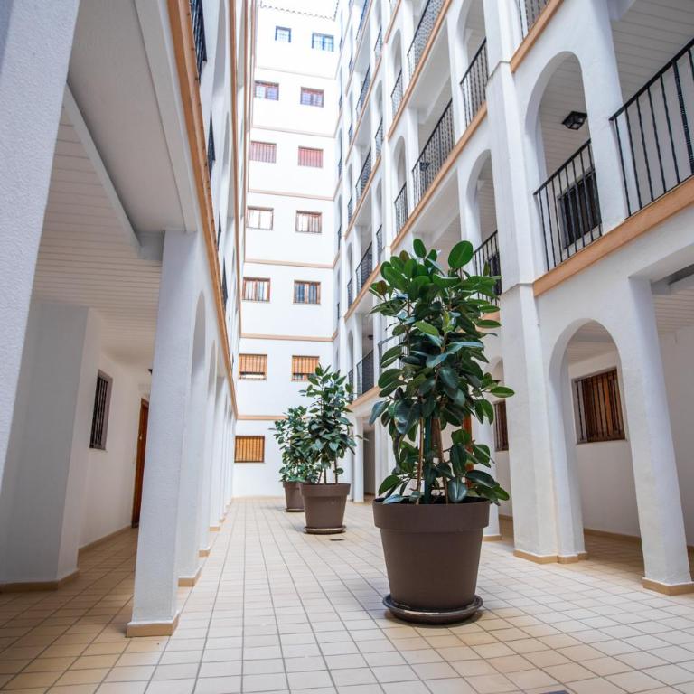 Calpe cozy apartment with the mountain view 5 min to the beach - Apartamento de 2 dormitorios - 12