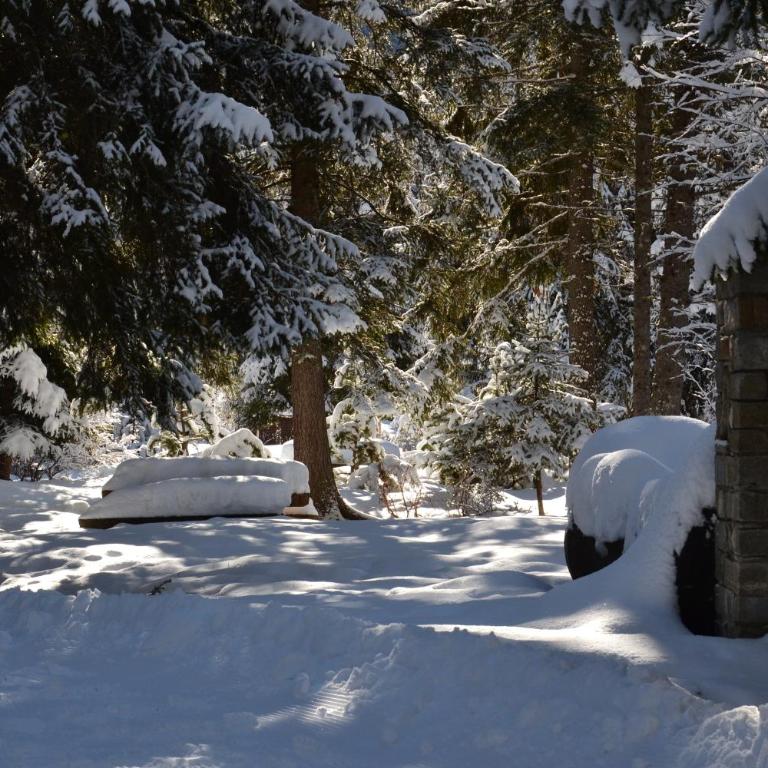 Alle pendici del Monte Rosa - Casa con 1 Camera da Letto - 3