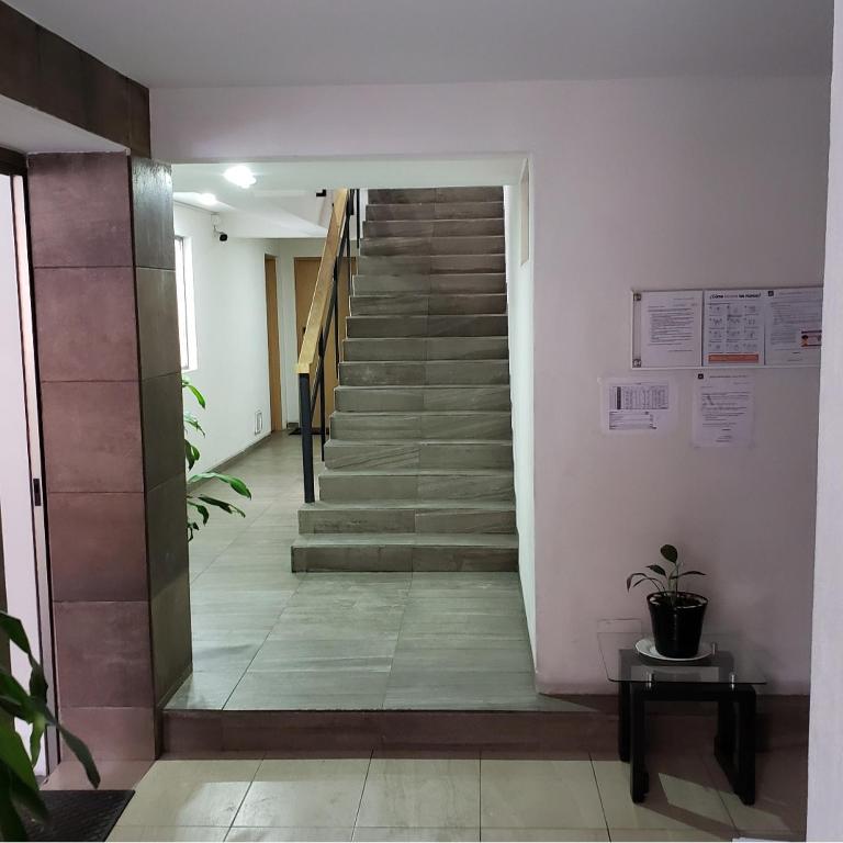 Terraza, Centrico WTC, Condesa, pet friendly - Apartamento de 2 dormitorios - 40