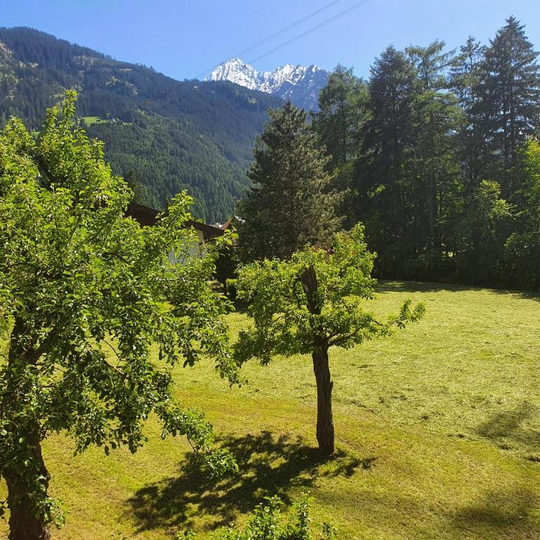 LANDHAUS DORNAU Apartments - Two-Bedroom Apartment - 4