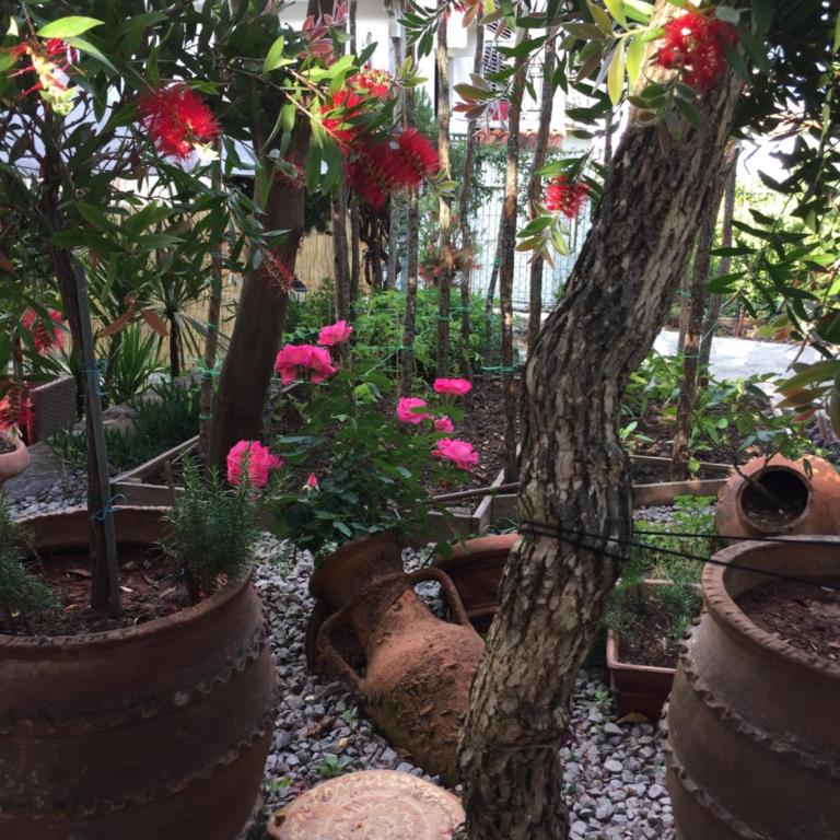 Casa SERGIO Budva Rooms & Apartments - Double Room with Garden View - 4