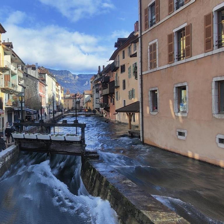 C le birdie - Appartement 1 Chambre - 48
