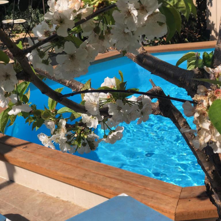 Villa Modernista - Villa with Private Pool - 33