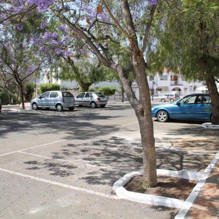 Casa Jilguero - Apartamento de 3 dormitorios - 24