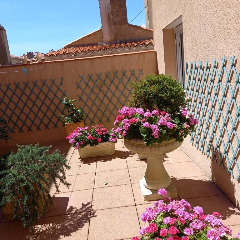 Hôtel SABLES D'O et son restaurant LE 16 BIS - Chambre Double Côté Rue ou Patio - 8