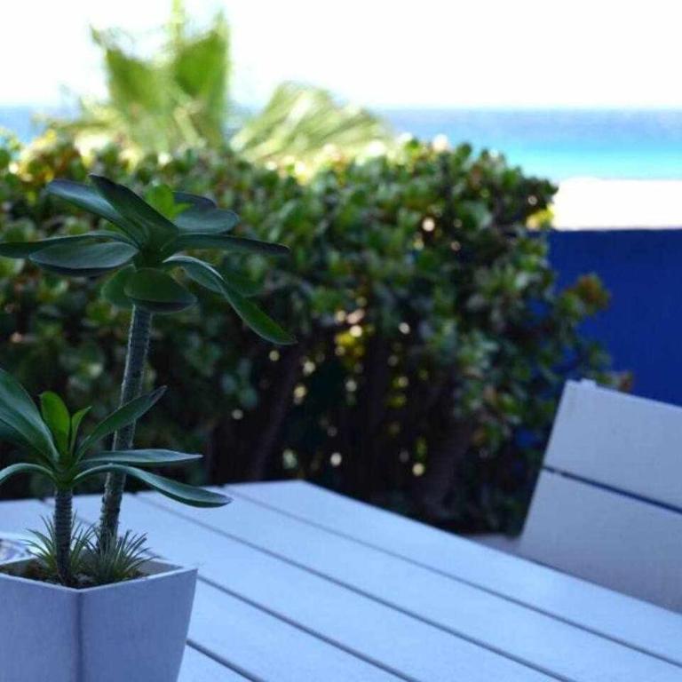 Tarifa Beach Rentals Tortuga 2 - Apartamento con vistas al mar - 6