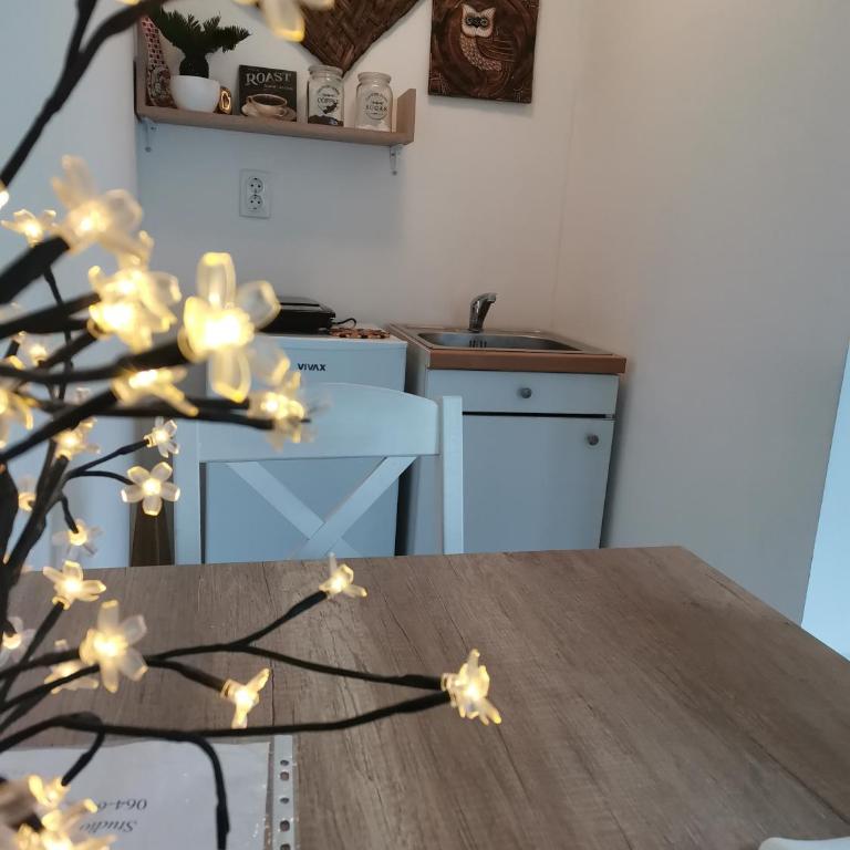 Studio Milica - Apartman sa 1 Spavaćom Sobom - 28