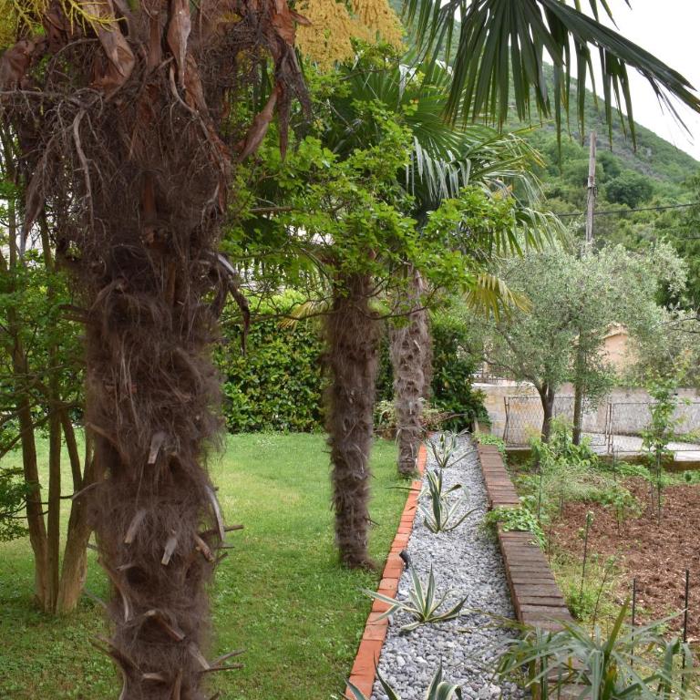 Apartments Nikola - Apartman s 3 Spavaće Sobe, Terasom i Pogledom na More - 17