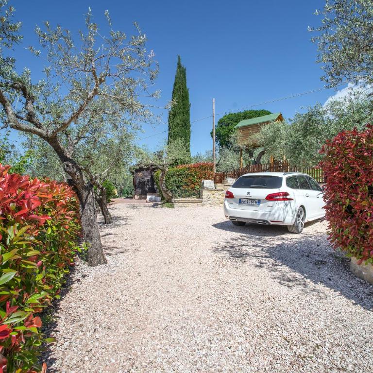 L'Agrifoglio di Assisi Residenza di Campagna - Appartamento con Vista Giardino - 17