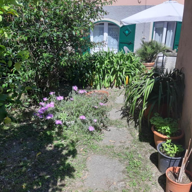 Appartamento Il giardino - Appartamento con 1 Camera da Letto - 4