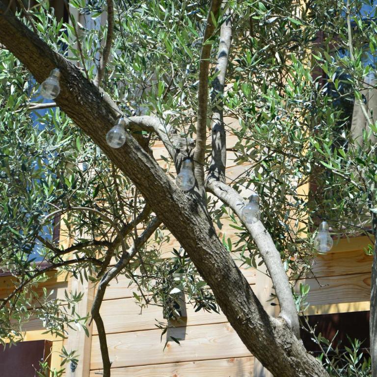 OLEA COTTAGE - Two-Bedroom Apartment - 39
