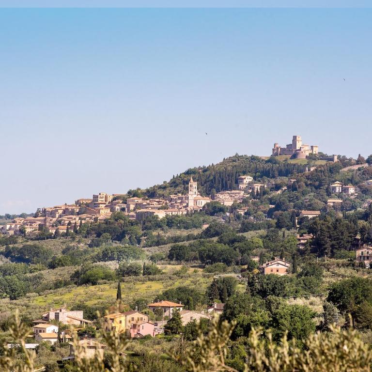 L'Agrifoglio di Assisi Residenza di Campagna - Appartamento con Vista Giardino - 4