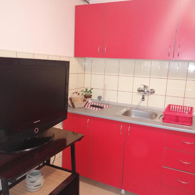 Apartman KM Đorđević - One-Bedroom Apartment - 11